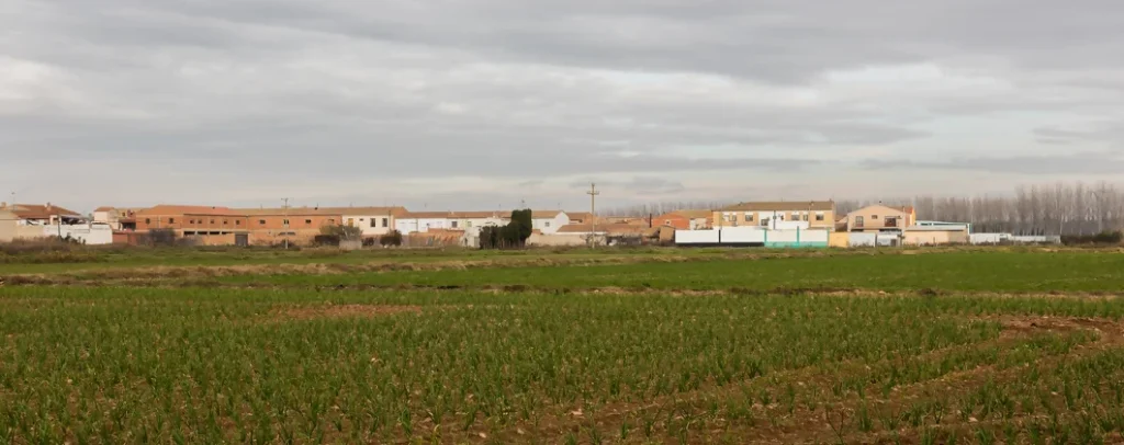 Servicios Vaciados En Boquiñeni