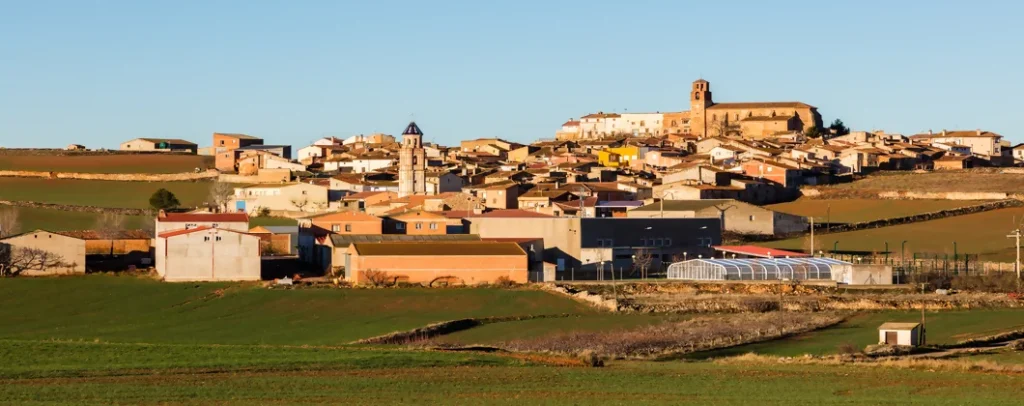 Servicios Vaciados En Campillo de Aragón