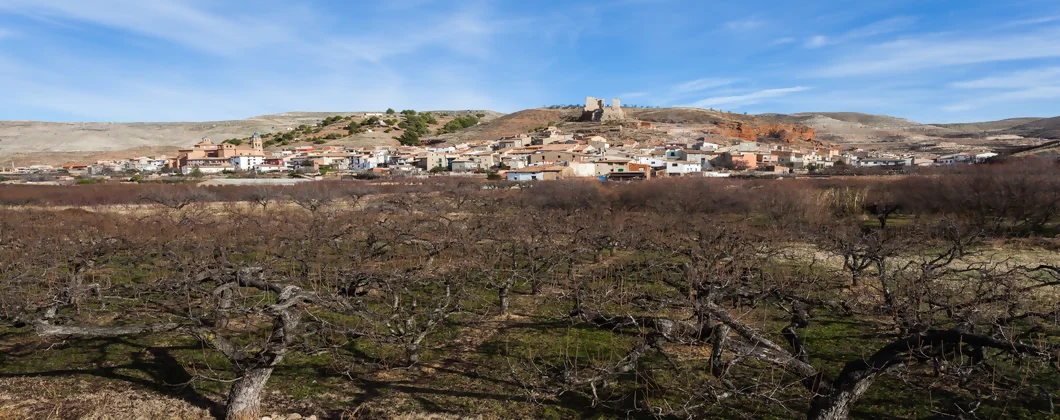 Servicios Vaciados En Vistabella