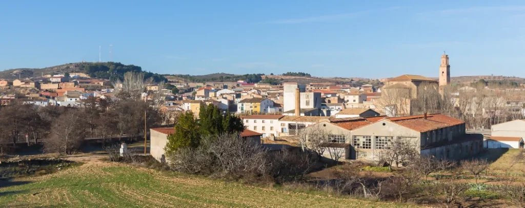 Servicios Vaciados En Cuarte de Huerva